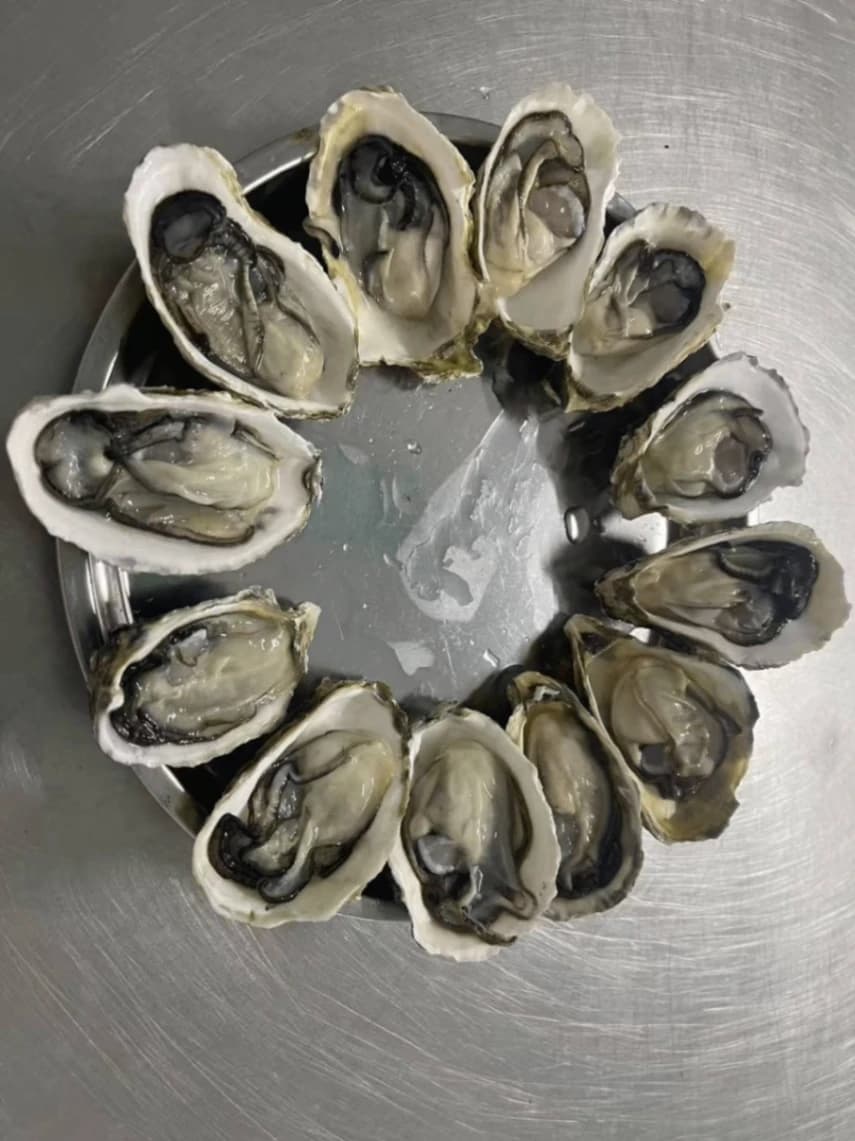 Steamed Half-shells Deliver Optimum Safety, Retained Famous Taste & Texture
